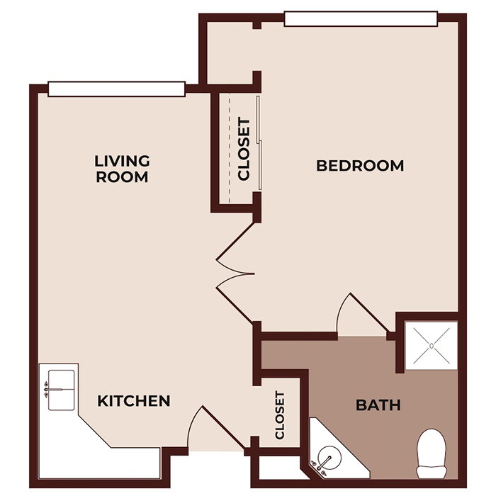 Floor plan of a one-bedroom apartment featuring a living room, kitchen, bedroom with closet, and bathroom with shower, sink, and toilet. The entrance is by the kitchen, and closets are in the hall and bedroom.