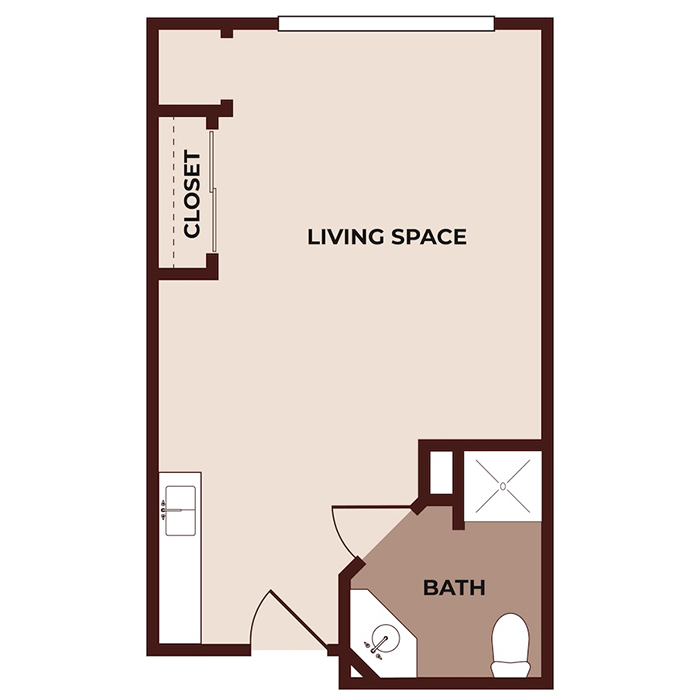 A simple studio apartment floor plan showing a large living space with a closet, a kitchen area near the entrance, and a separate bathroom with a toilet, sink, and shower in one corner.