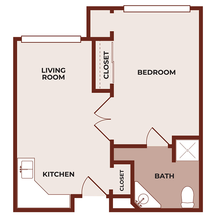 One-bedroom apartment floor plan with labeled living room, kitchen, bedroom, bathroom, and two closets. Entry leads to living room and kitchen; bedroom and bath are adjacent, with closets near the hallway and bedroom.