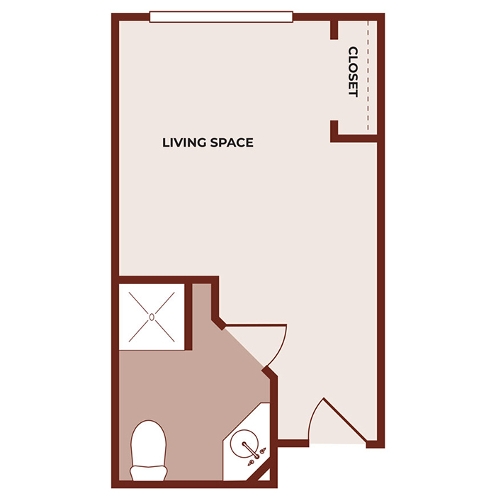 Simple floor plan of a small studio apartment showing a living space with a closet, a bathroom with a toilet and shower, and an entry door. The layout is rectangular with clear labels for each area.
